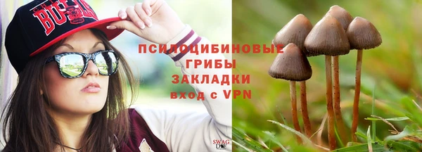 тгк Майский