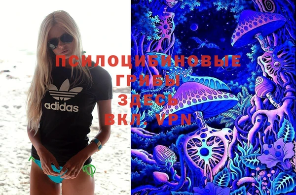 тгк Майский