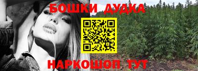 не бодяженный Гай