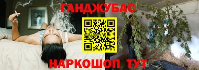 не бодяженный Гай