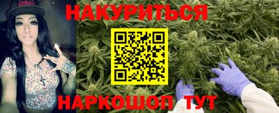 не бодяженный Гай