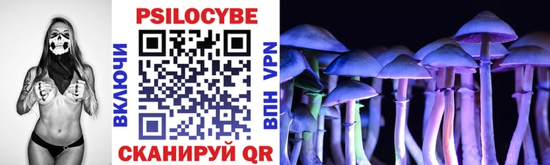 Псилоцибиновые грибы ЛСД  blacksprut вход  Норильск 