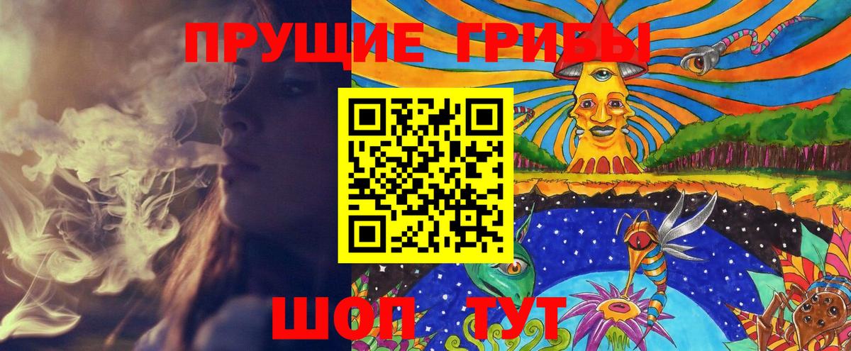 Норильск  Псилоцибиновые грибы Cubensis  Вход с VPN 