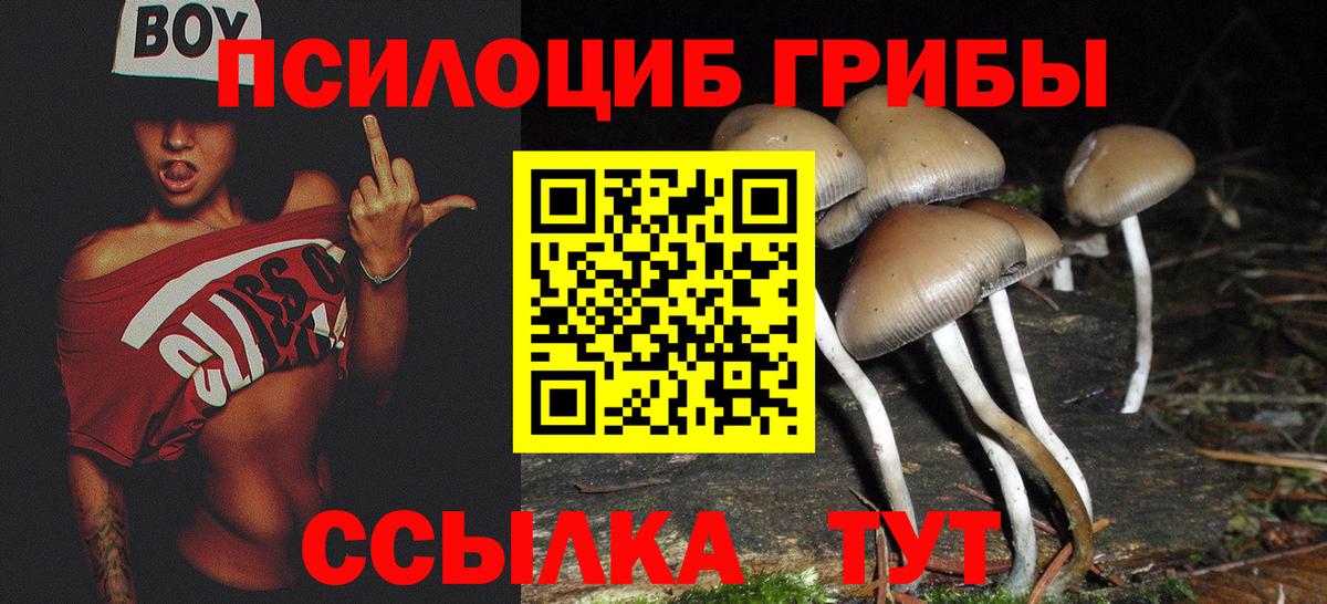 Галлюциногенные грибы GOLDEN TEACHER Норильск