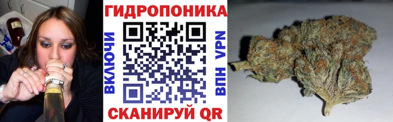 Шишки марихуана ГИДРОПОН  где продают наркотики  Норильск 